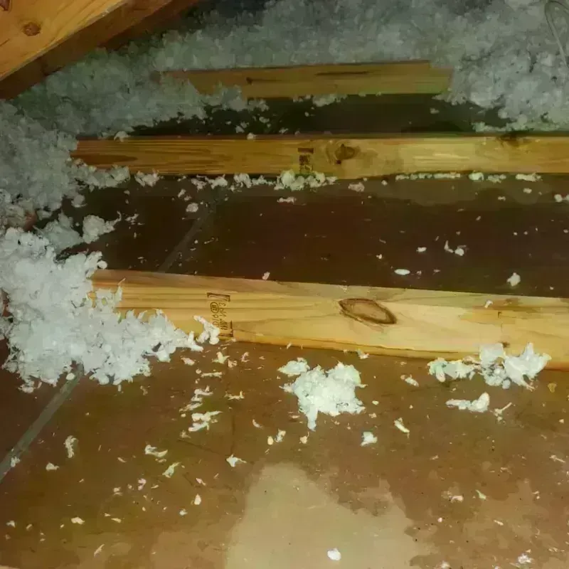 Attic Water Damage in Lawton, MI