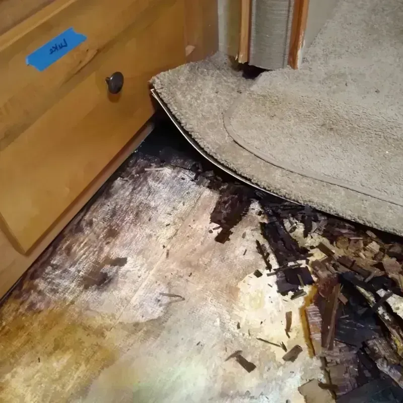 Wood Floor Water Damage in Lawton, MI